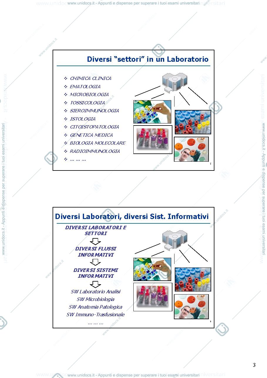 Anteprima pagina 3 — settori di laboratorio