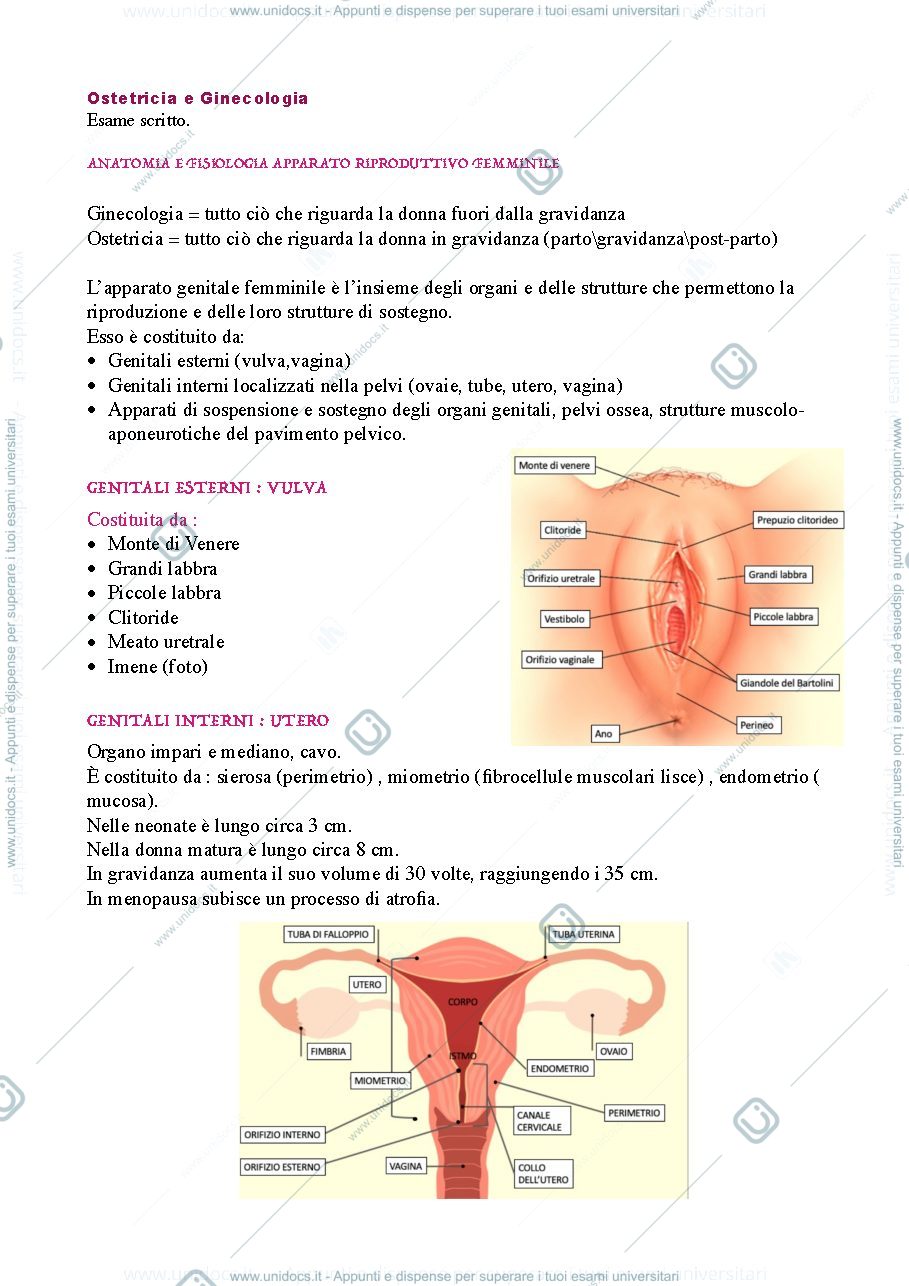 Anteprima pagina 1 — Ostetricia e Ginecologia