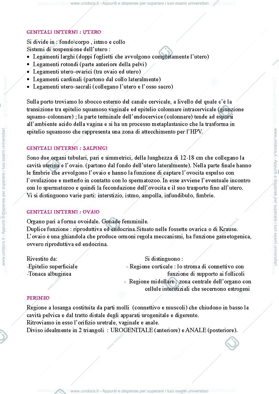 Anteprima pagina 2 — Ostetricia e Ginecologia