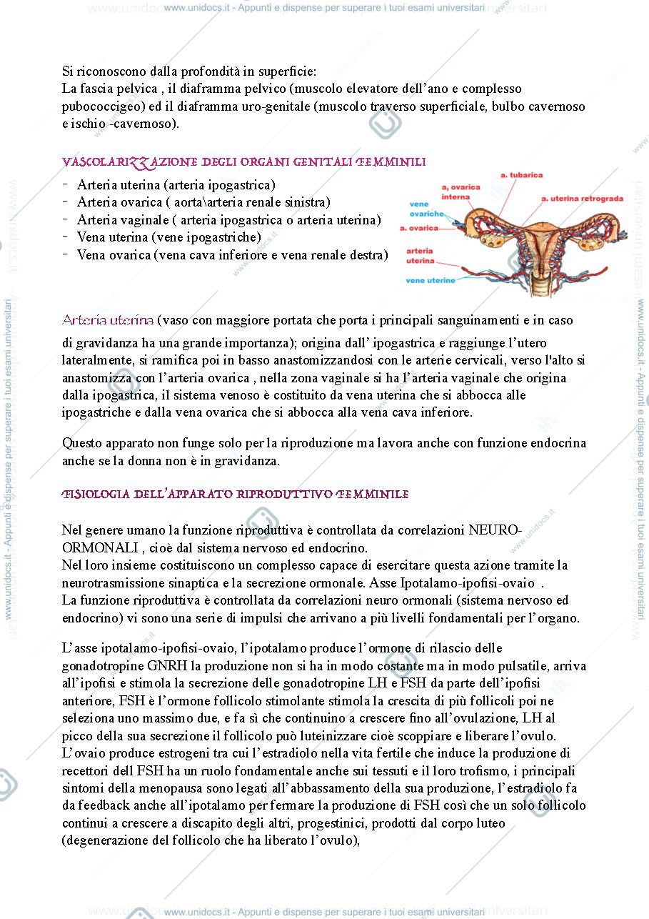 Anteprima pagina 3 — Ostetricia e Ginecologia
