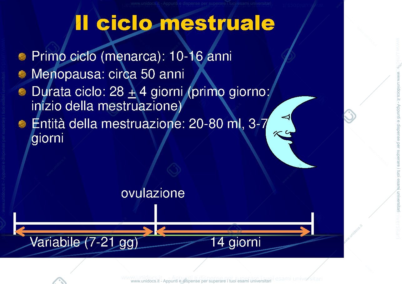 Anteprima pagina 1 — ciclo mestruale