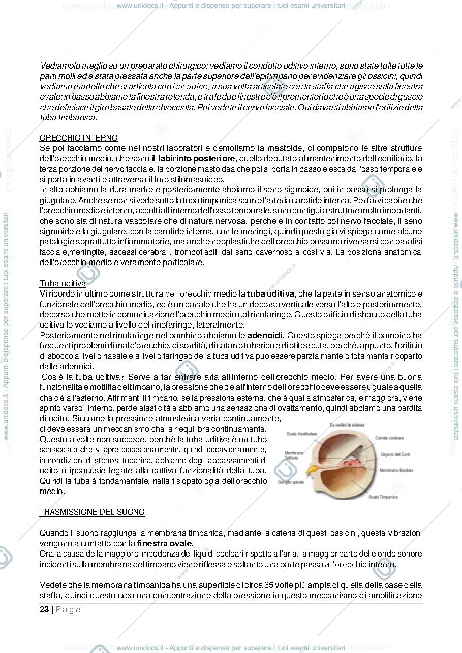 Anteprima pagina 5 — Dispensa di otorino 2016