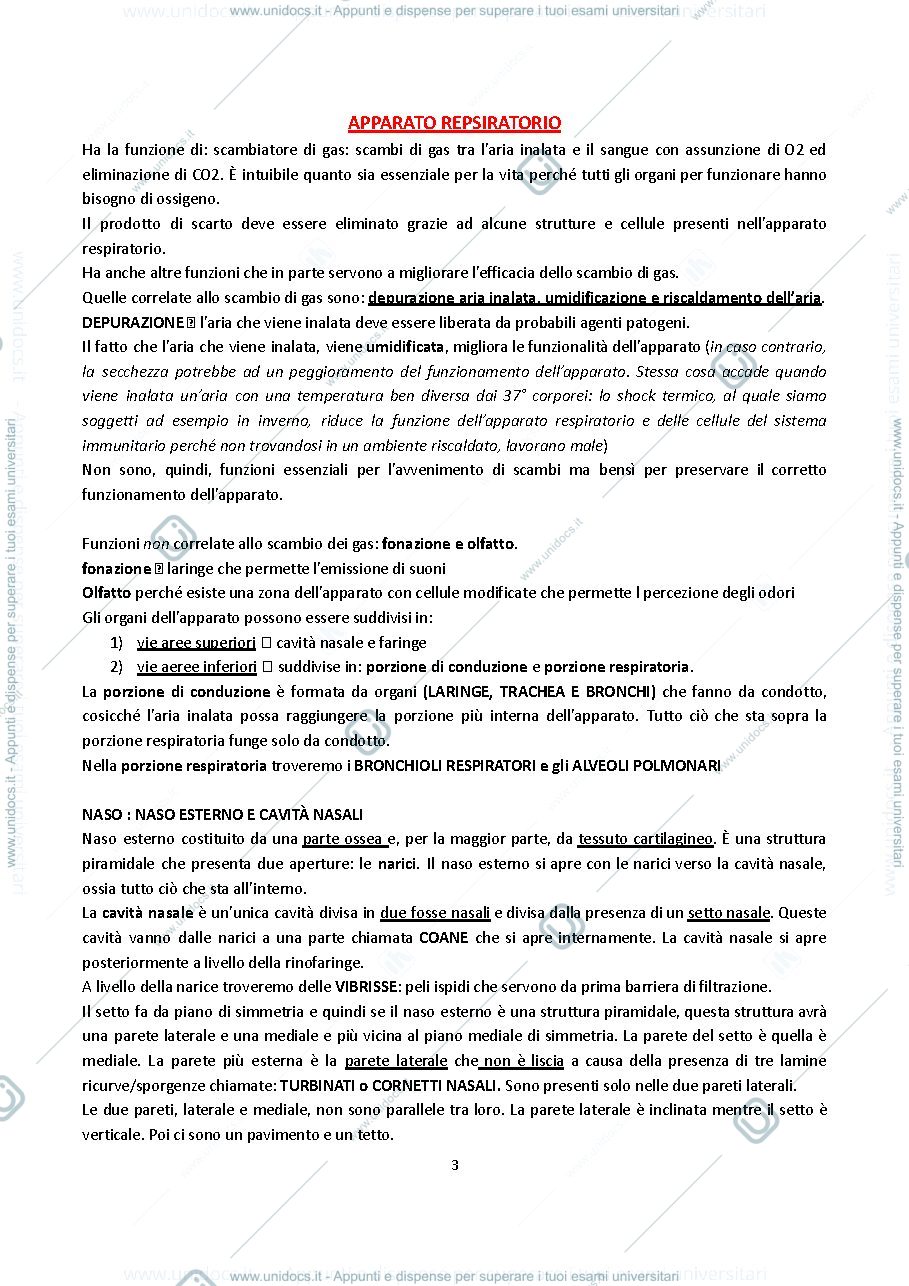 Anteprima pagina 3 — ANATOMIA UMANA E OCULARE 