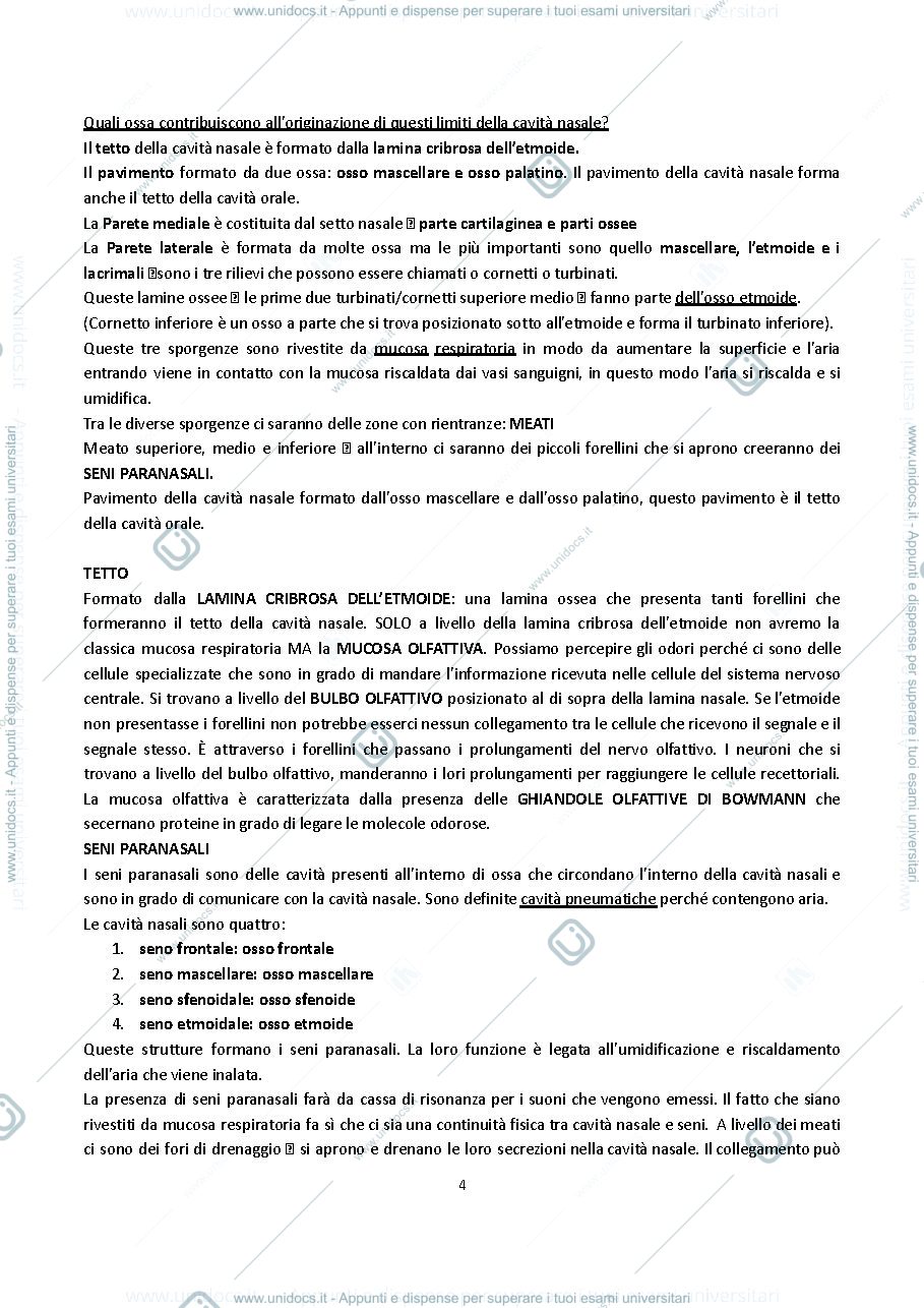 Anteprima pagina 4 — ANATOMIA UMANA E OCULARE 