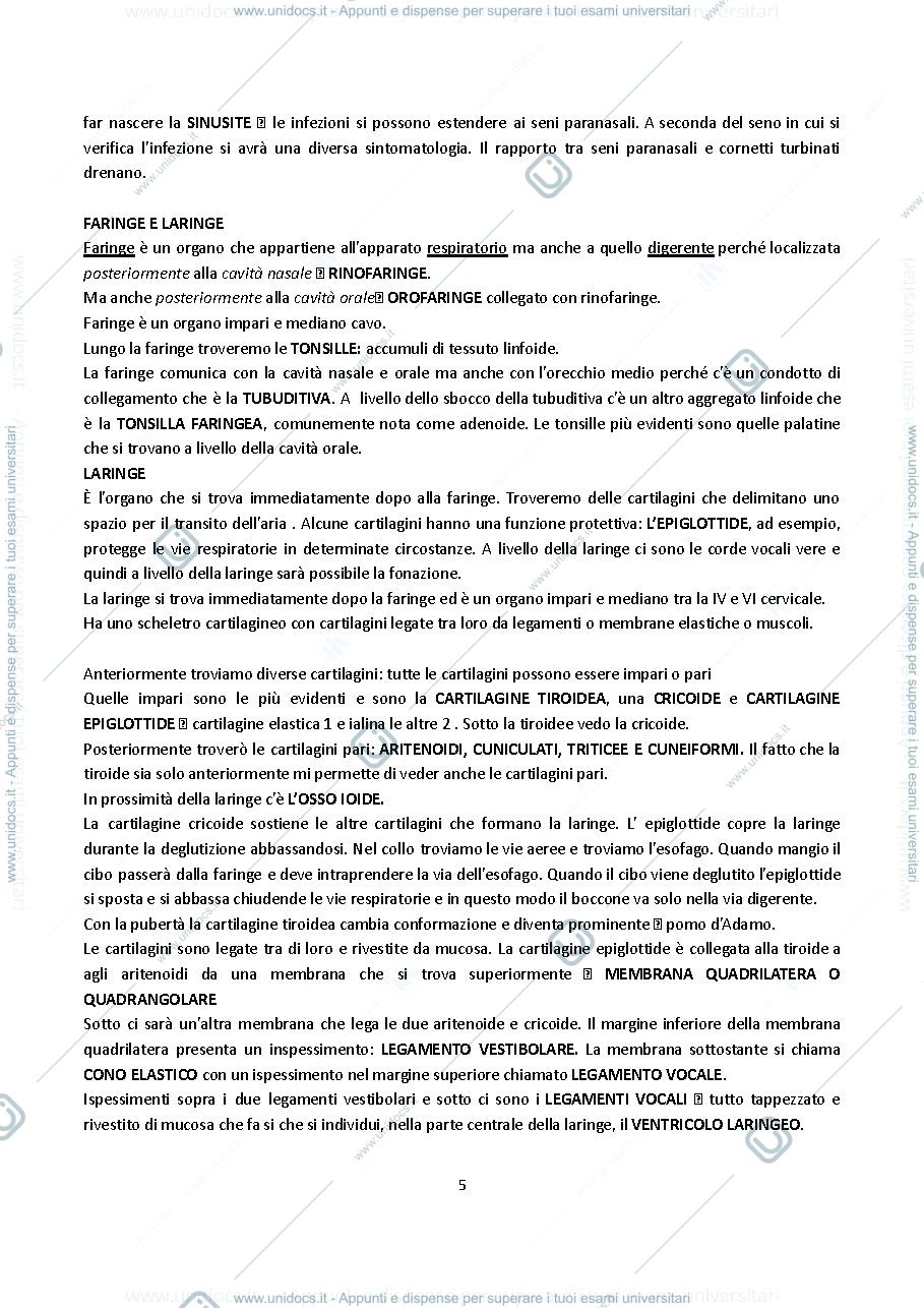 Anteprima pagina 5 — ANATOMIA UMANA E OCULARE 