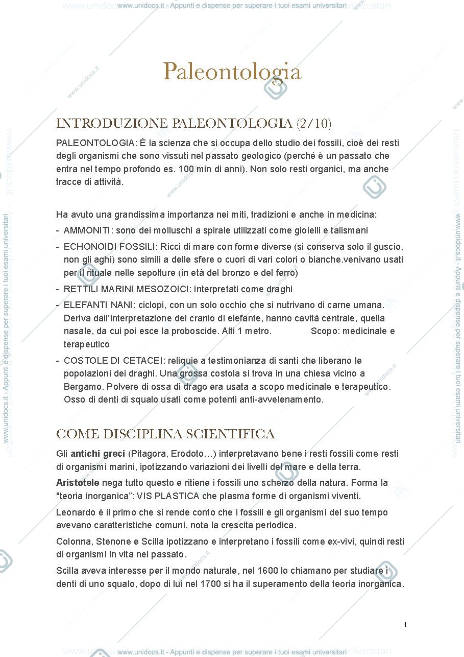 Anteprima pagina 1 — PALEO FINALE