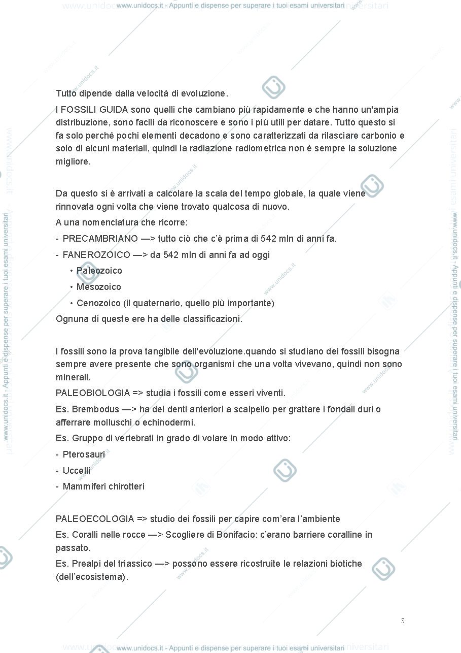 Anteprima pagina 3 — PALEO FINALE