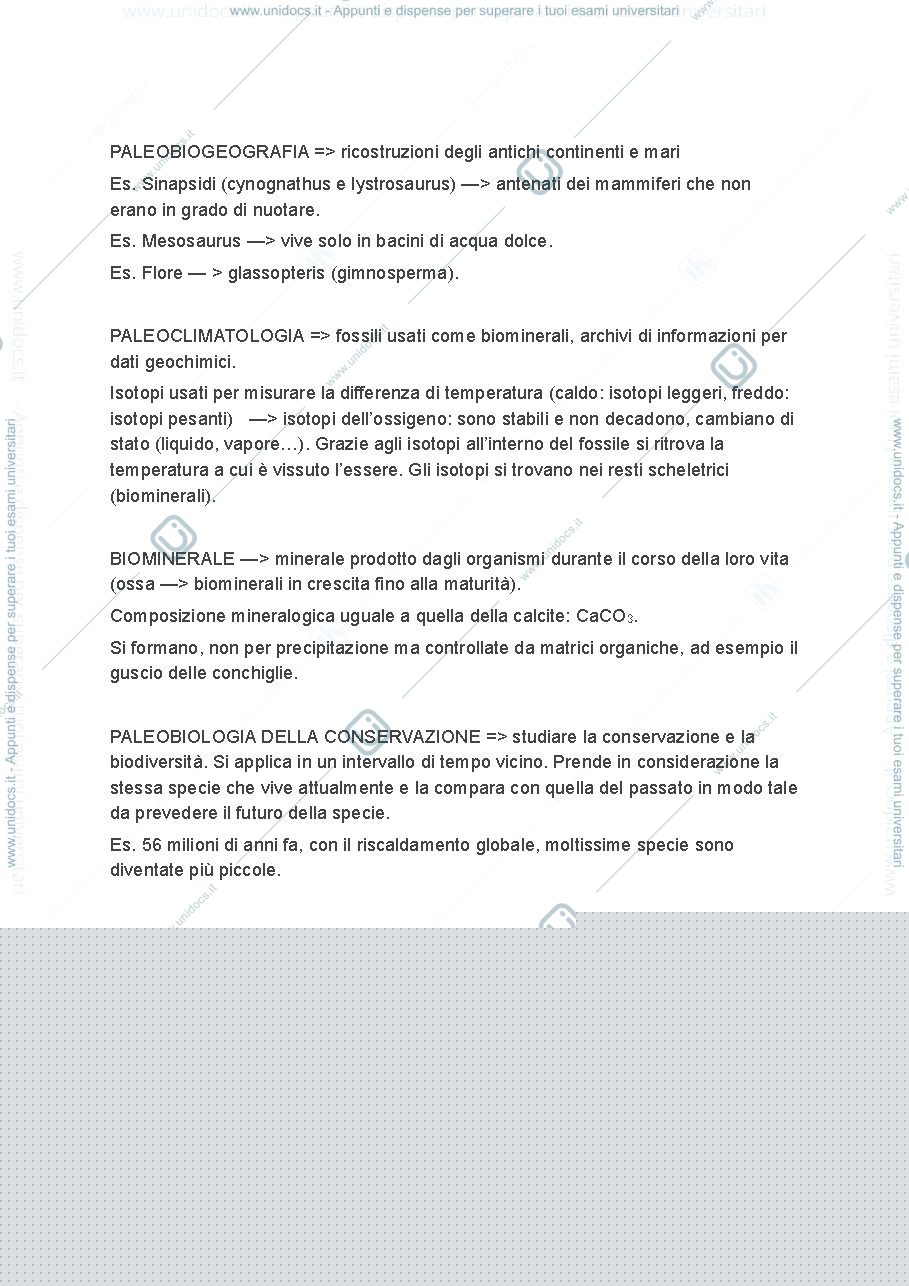 Anteprima pagina 4 — PALEO FINALE