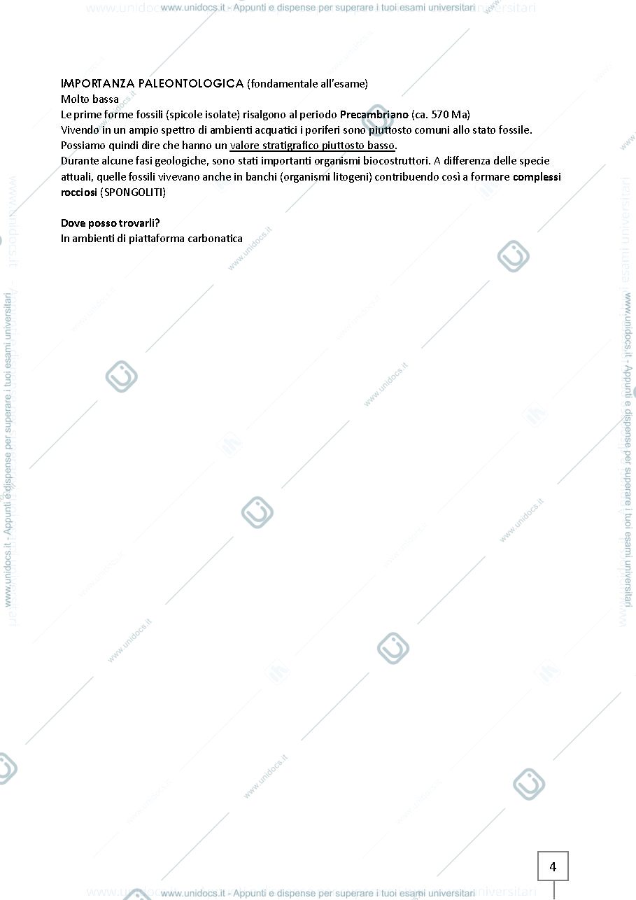 Anteprima pagina 4 — Appunti Paleontologia - Laboratorio