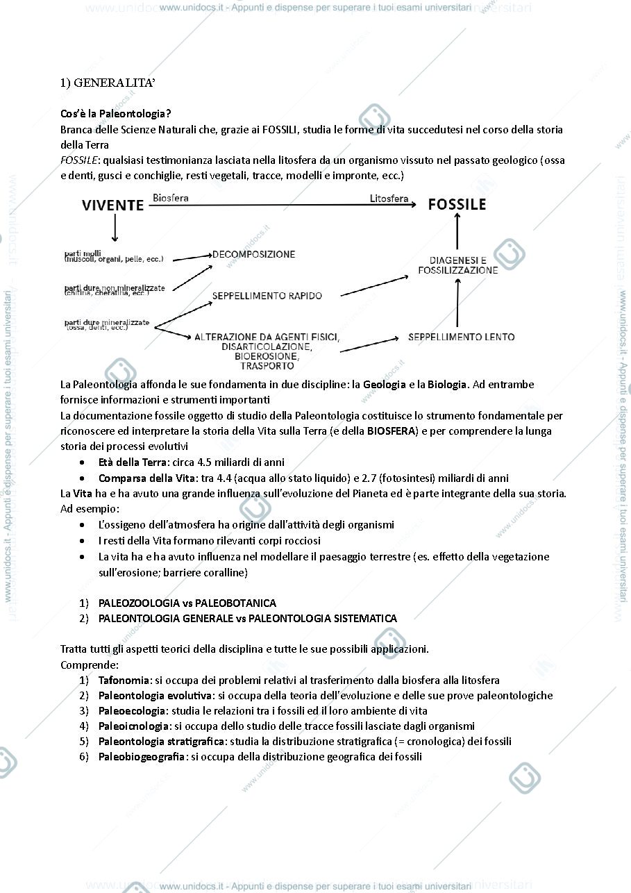 Anteprima pagina 3 — Appunti Paleontologia - Teoria