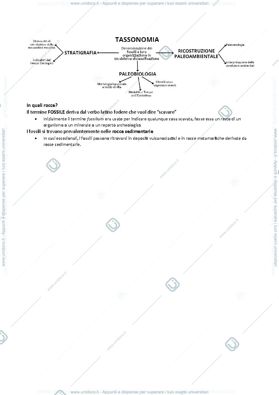 Anteprima pagina 4 — Appunti Paleontologia - Teoria
