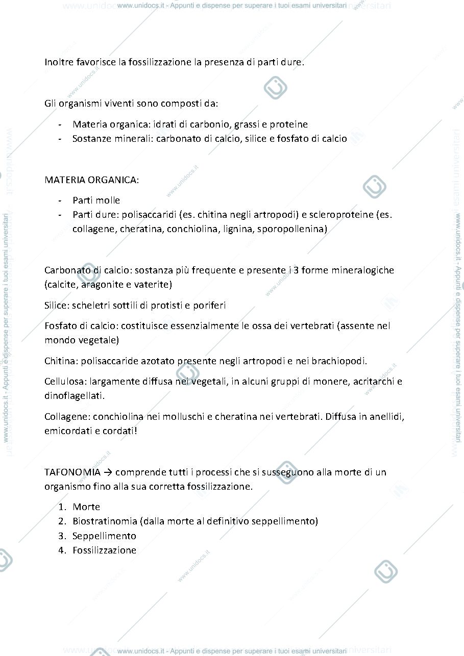 Anteprima pagina 3 — paleontologia