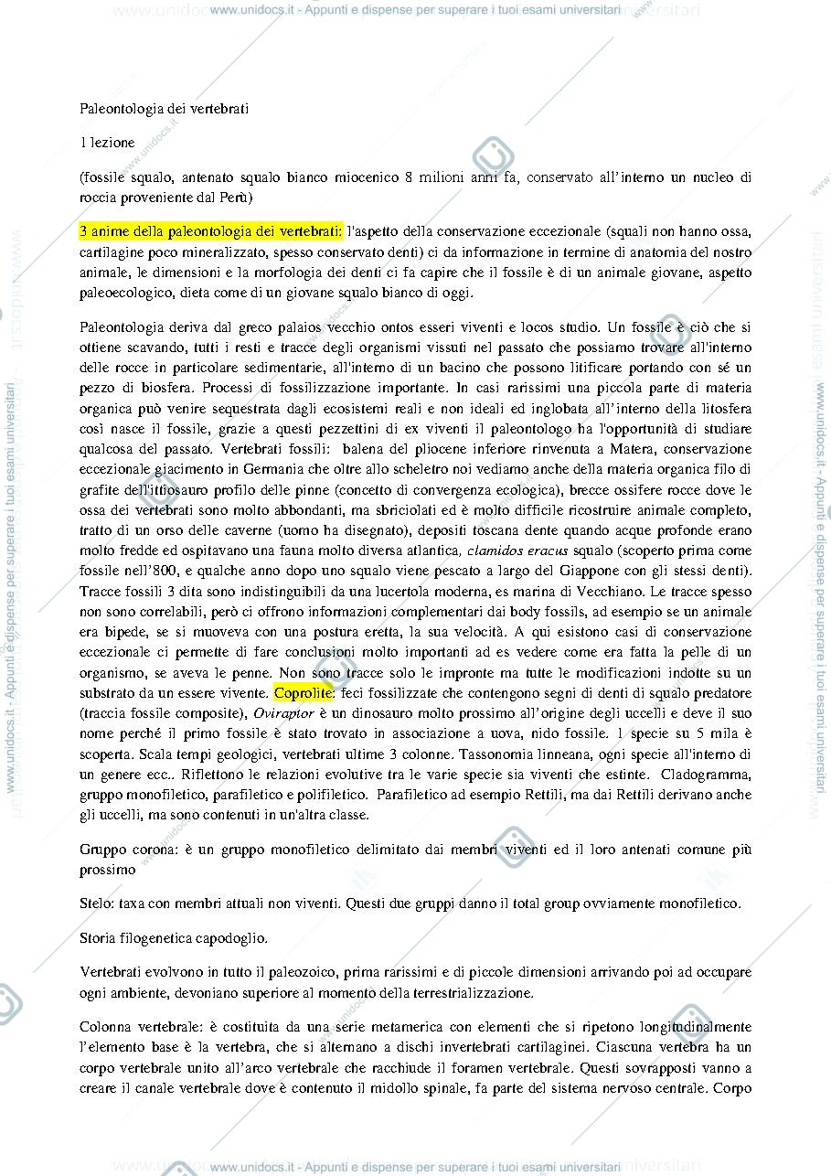 Anteprima pagina 1 — paleontologia dei vertebrati 