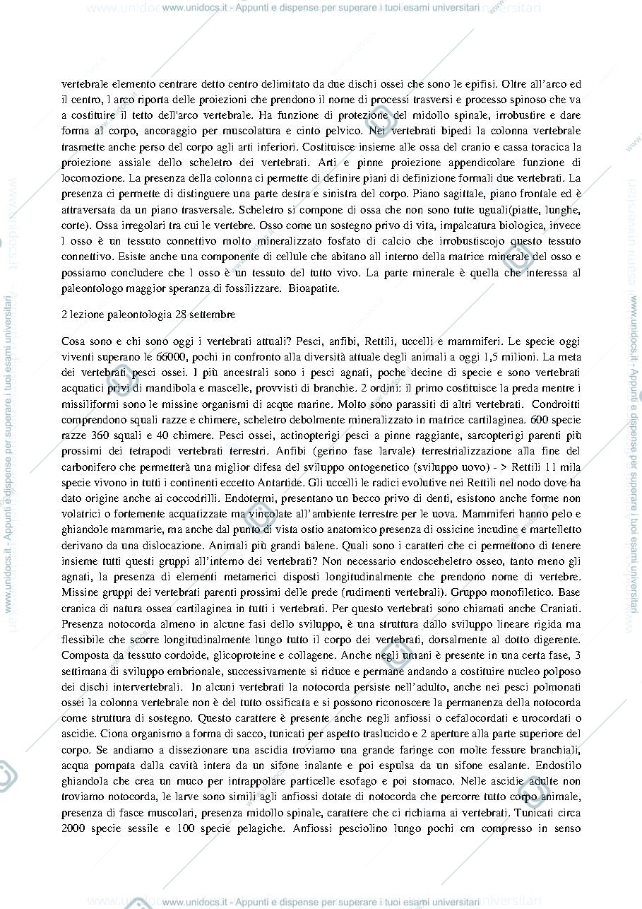 Anteprima pagina 2 — paleontologia dei vertebrati 