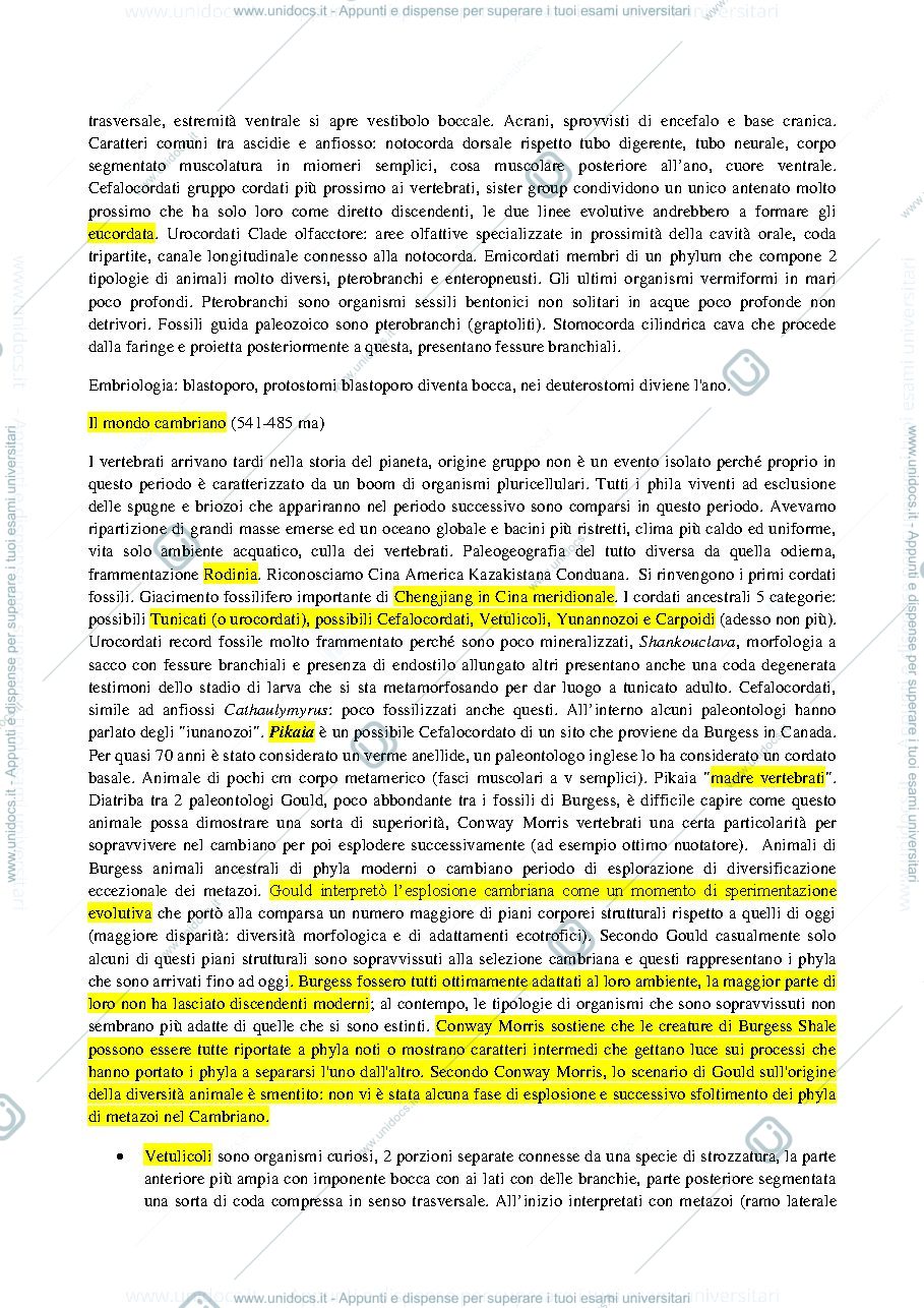 Anteprima pagina 3 — paleontologia dei vertebrati 