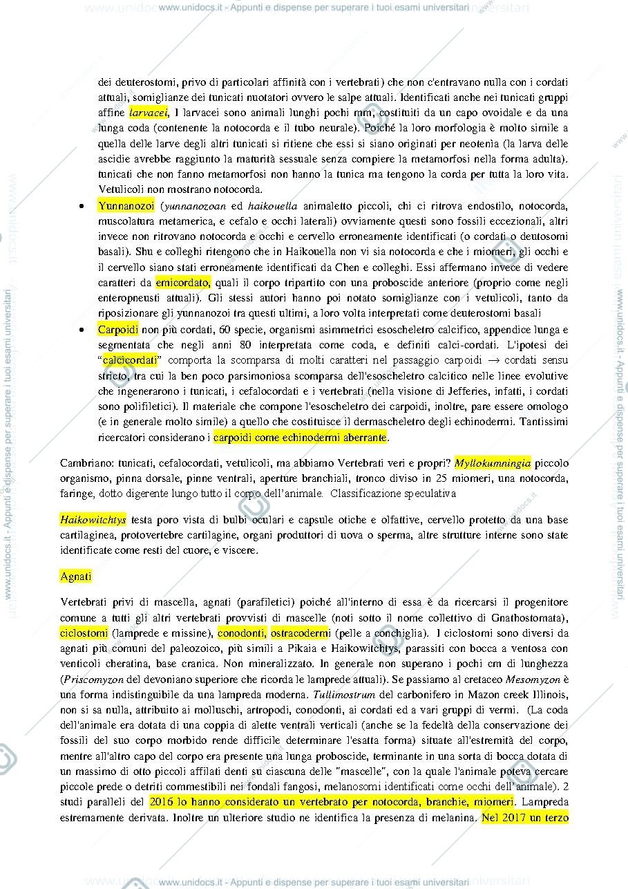 Anteprima pagina 4 — paleontologia dei vertebrati 