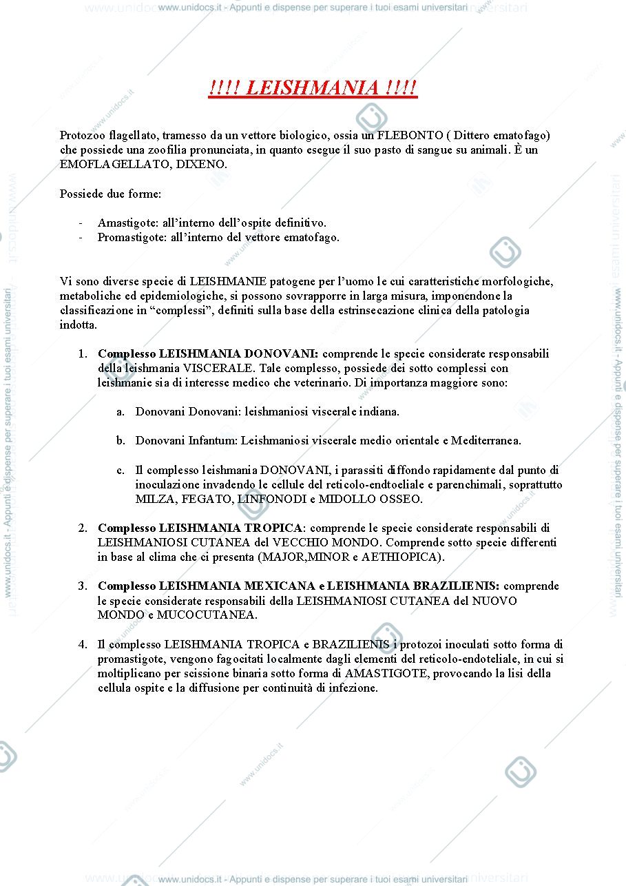 Anteprima pagina 1 — Leishmania