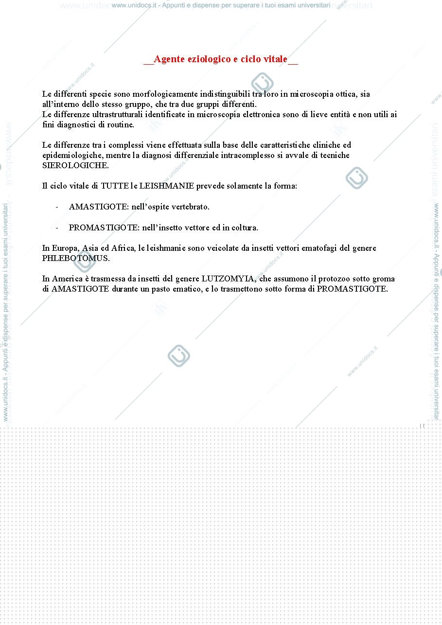 Anteprima pagina 2 — Leishmania