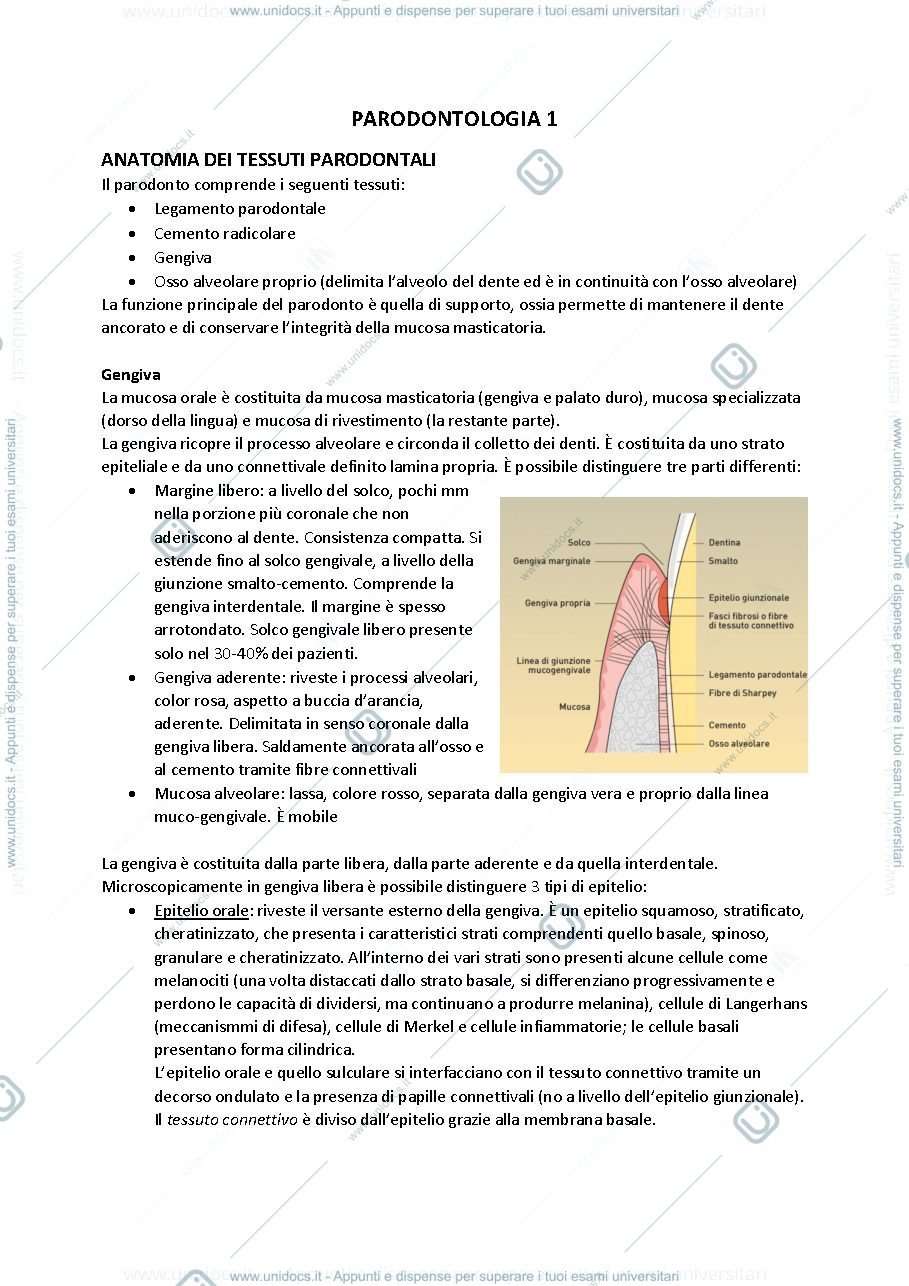 Anteprima pagina 2 — Parodontologia