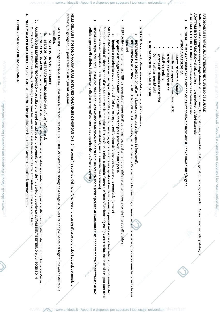 Anteprima pagina 1 — Patologia diagnostica