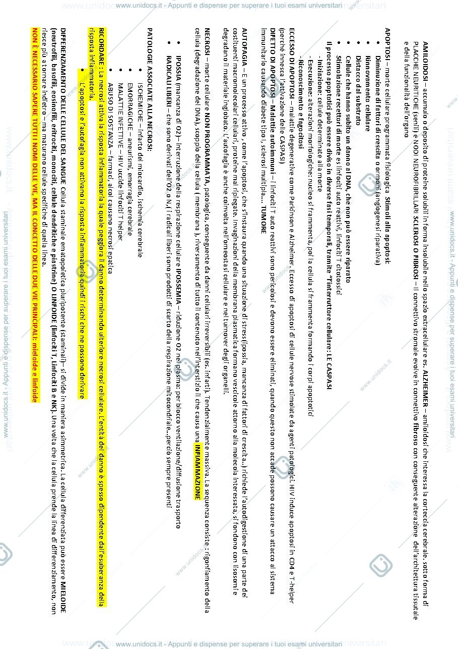 Anteprima pagina 2 — Patologia diagnostica