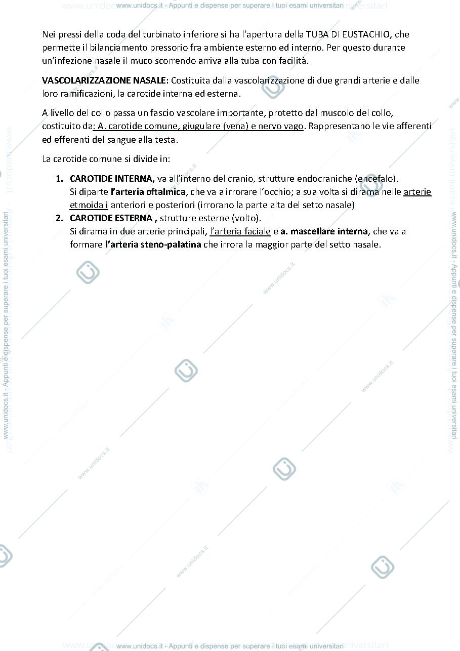 Anteprima pagina 2 — B. FATTORI OTORINOLARINGOIATRIA 21/22 II°anno
