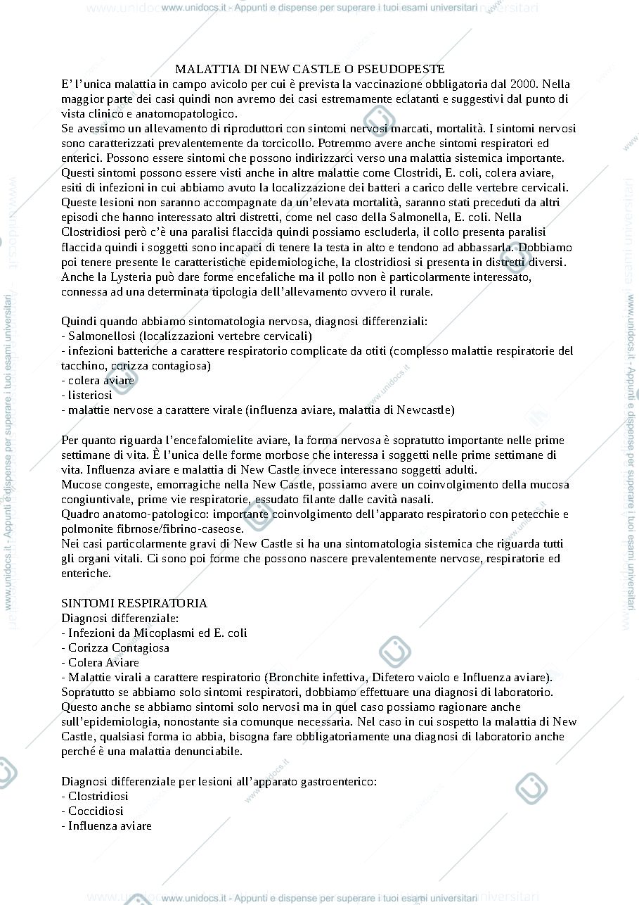 Anteprima pagina 1 — Malattia di New Castle