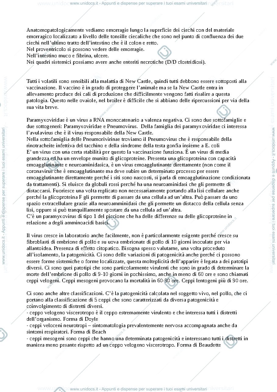 Anteprima pagina 2 — Malattia di New Castle