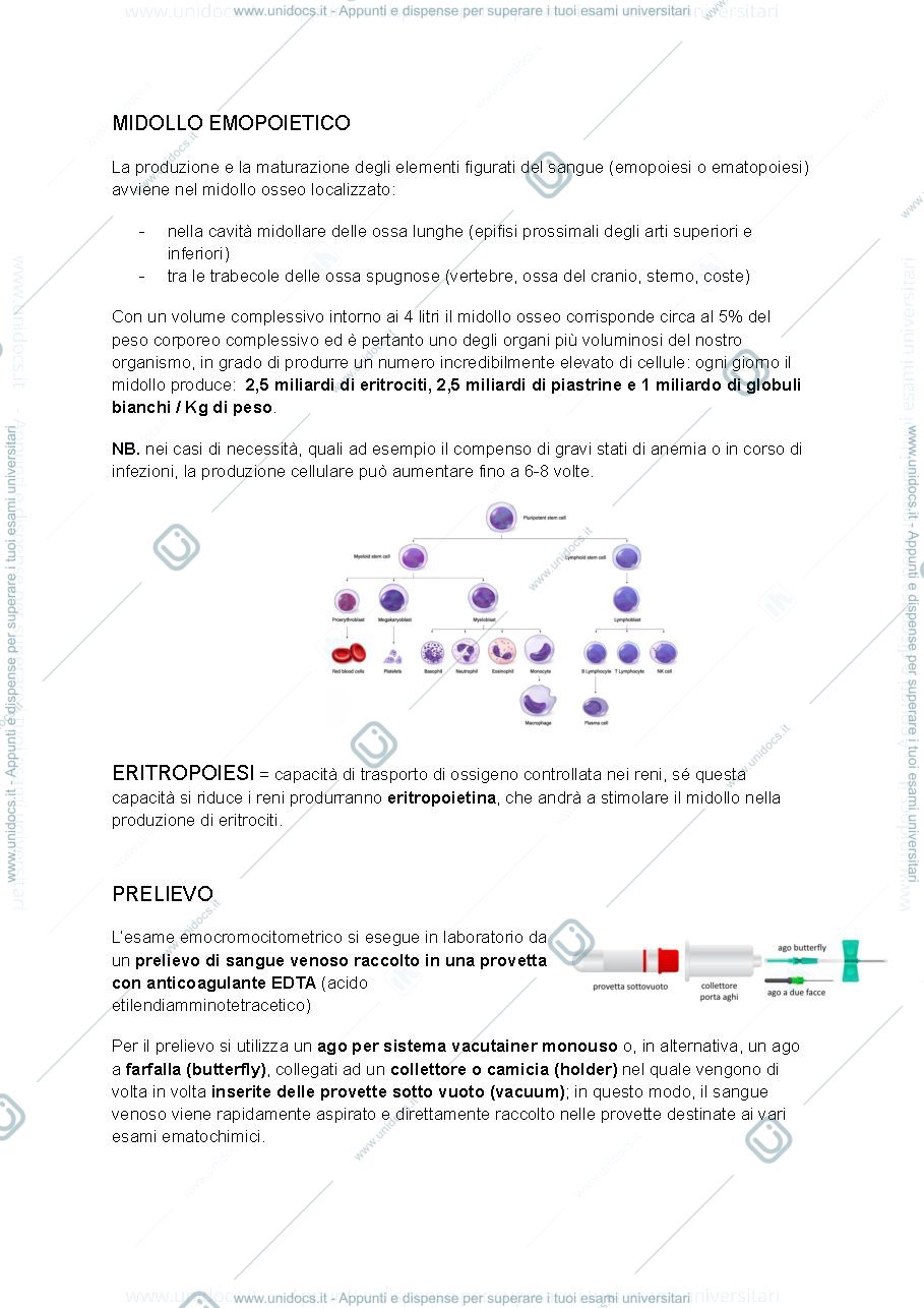 Anteprima pagina 2 — Appunti Patologia Clinica Davide Treré infermieristica 2024-25
