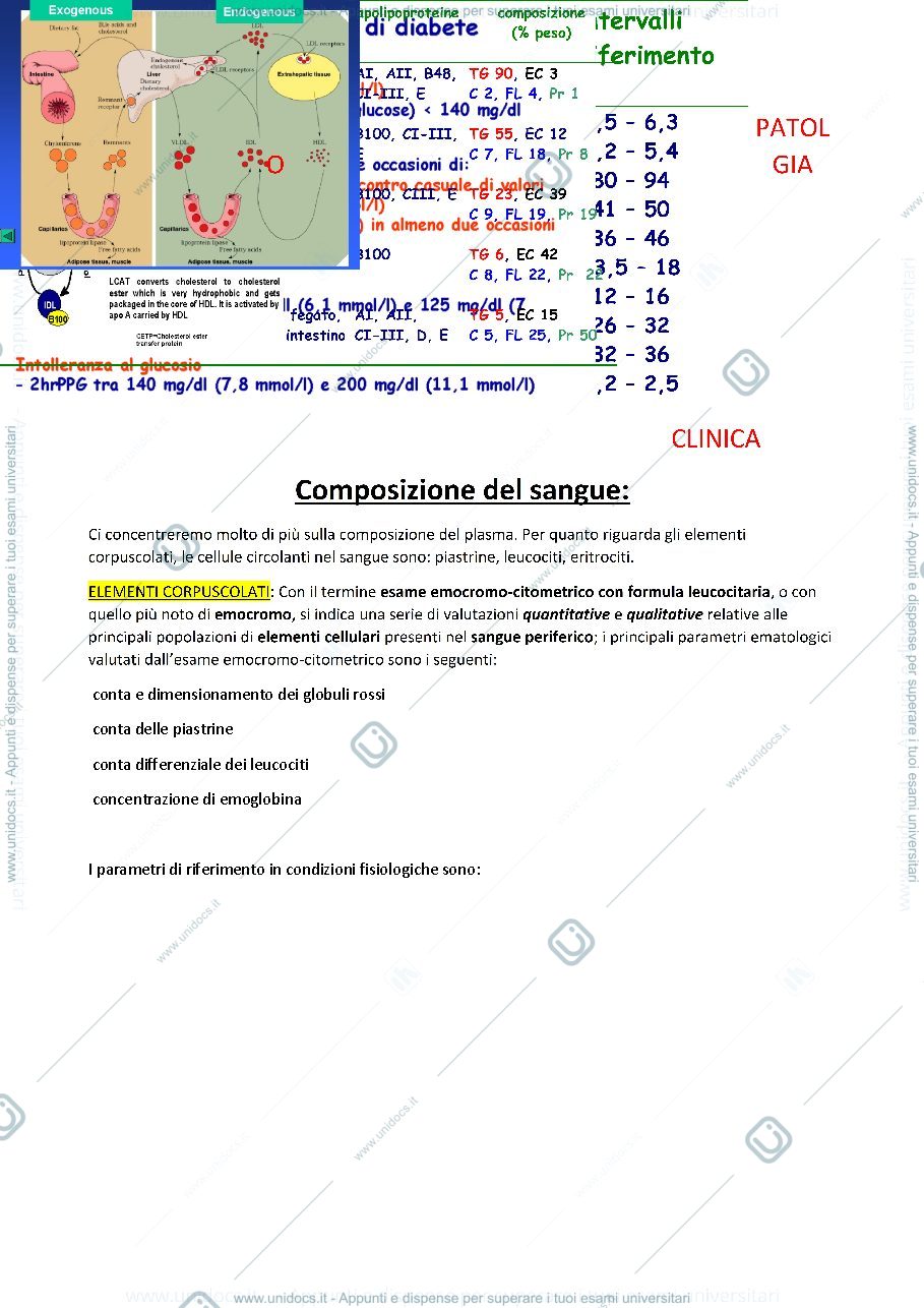 Anteprima pagina 1 — Patologia clinica