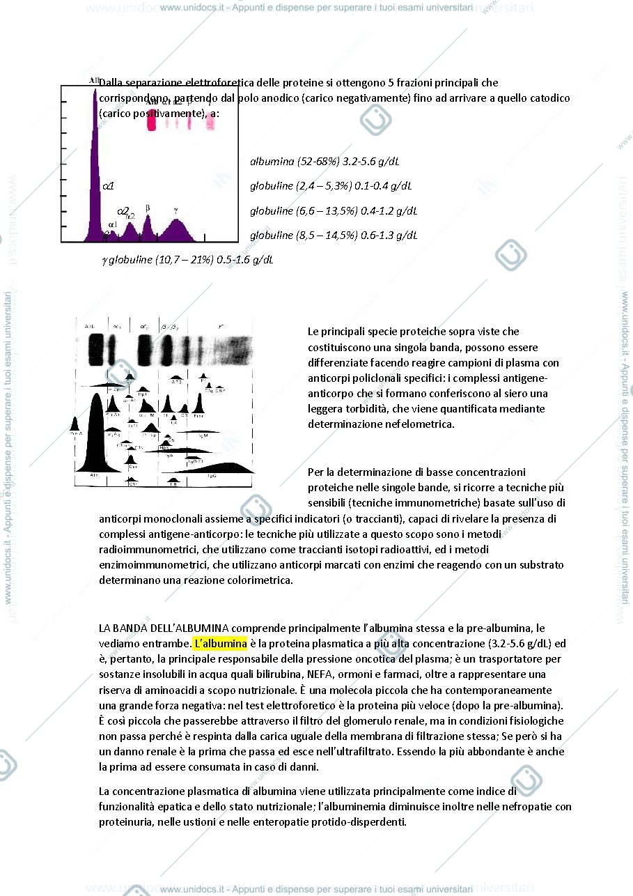 Anteprima pagina 3 — Patologia clinica