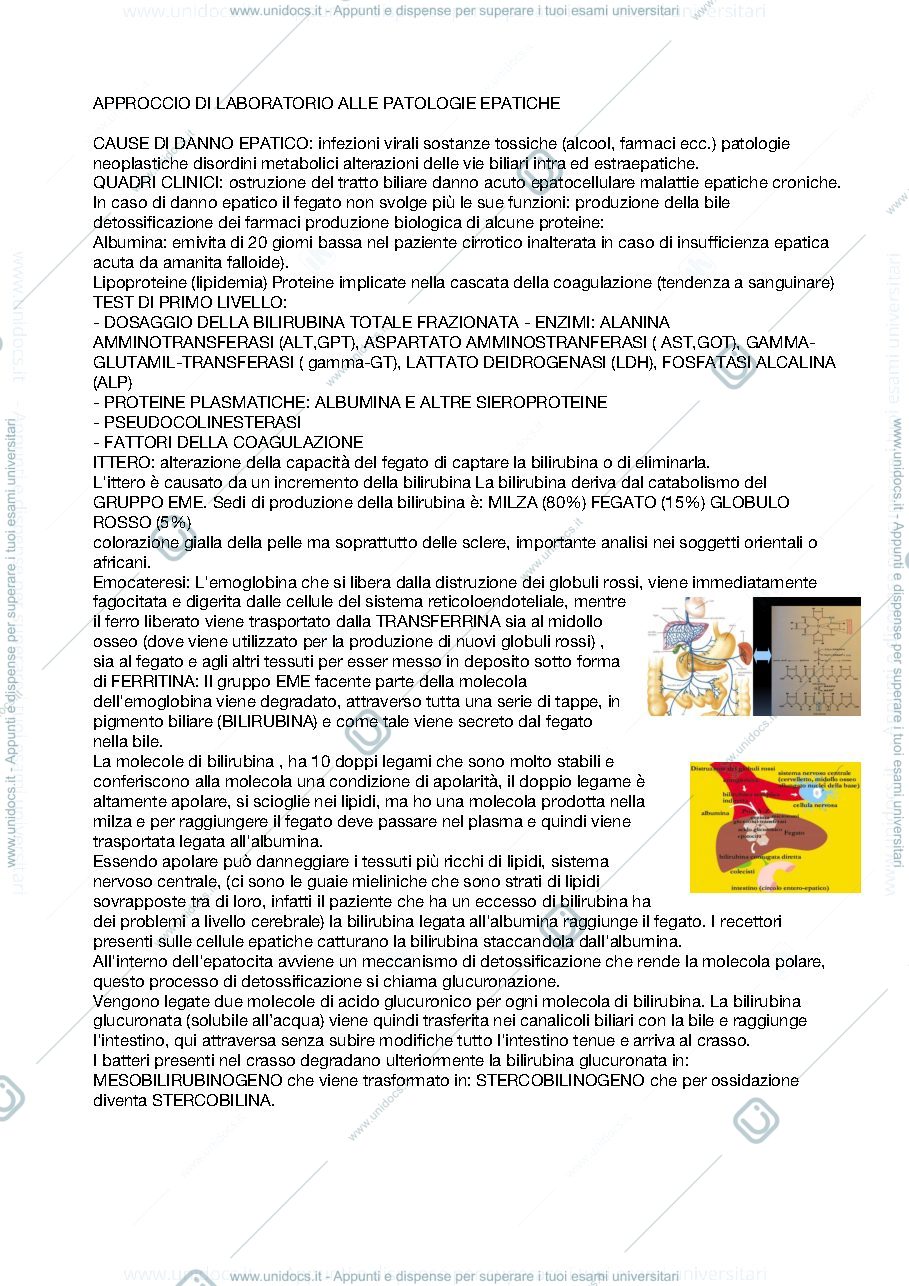Anteprima pagina 1 — Riassunto patologia clinica