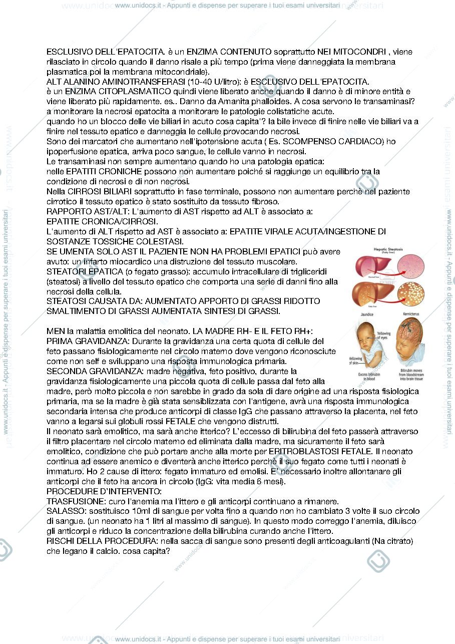 Anteprima pagina 3 — Riassunto patologia clinica