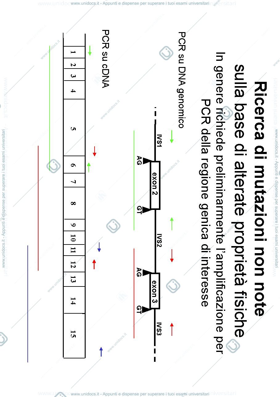 Anteprima pagina 2 — tecniche patologia