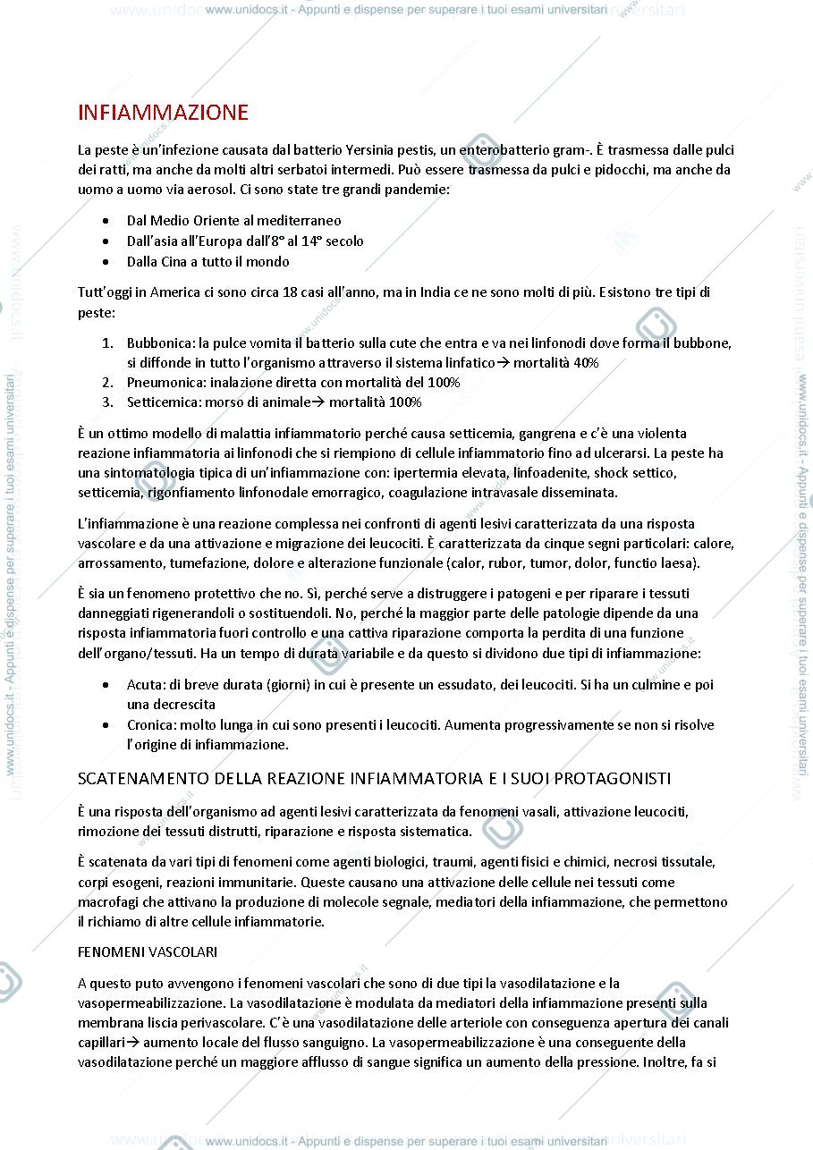 Anteprima pagina 1 — Processo di infiammazione 