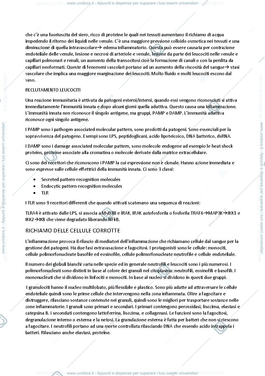 Anteprima pagina 2 — Processo di infiammazione 