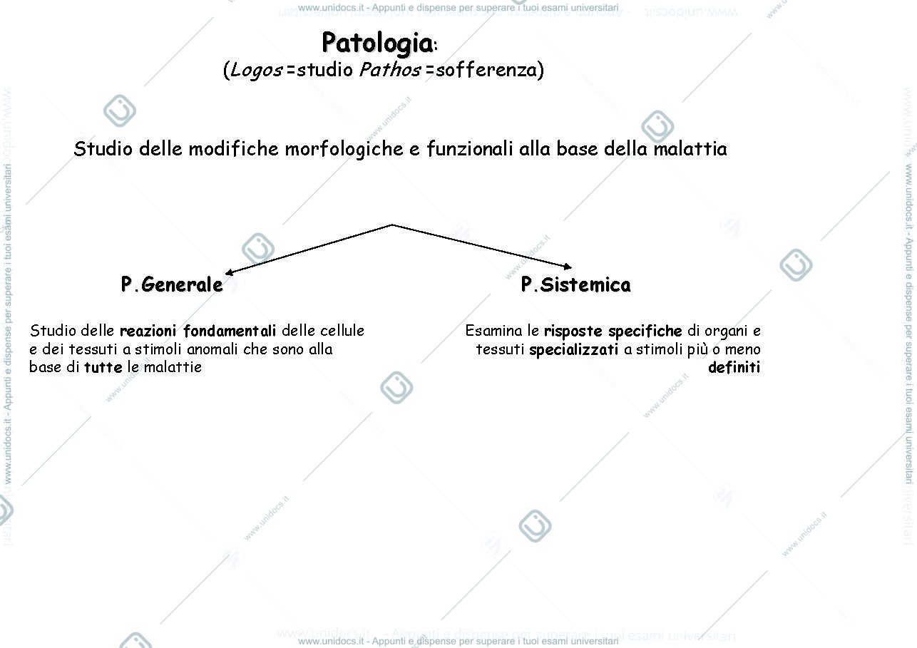 Anteprima pagina 3 — Patologia generale 1