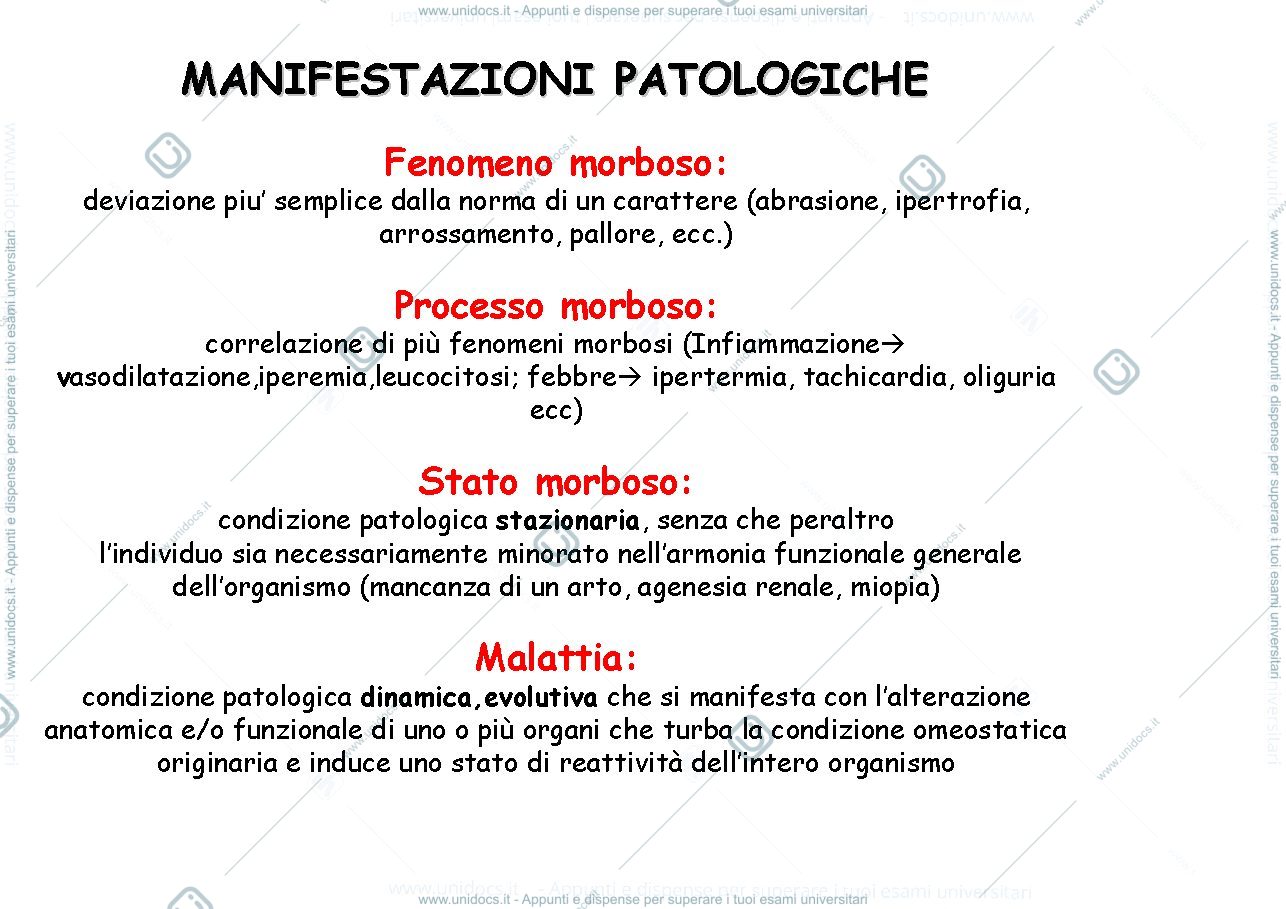 Anteprima pagina 5 — Patologia generale 1