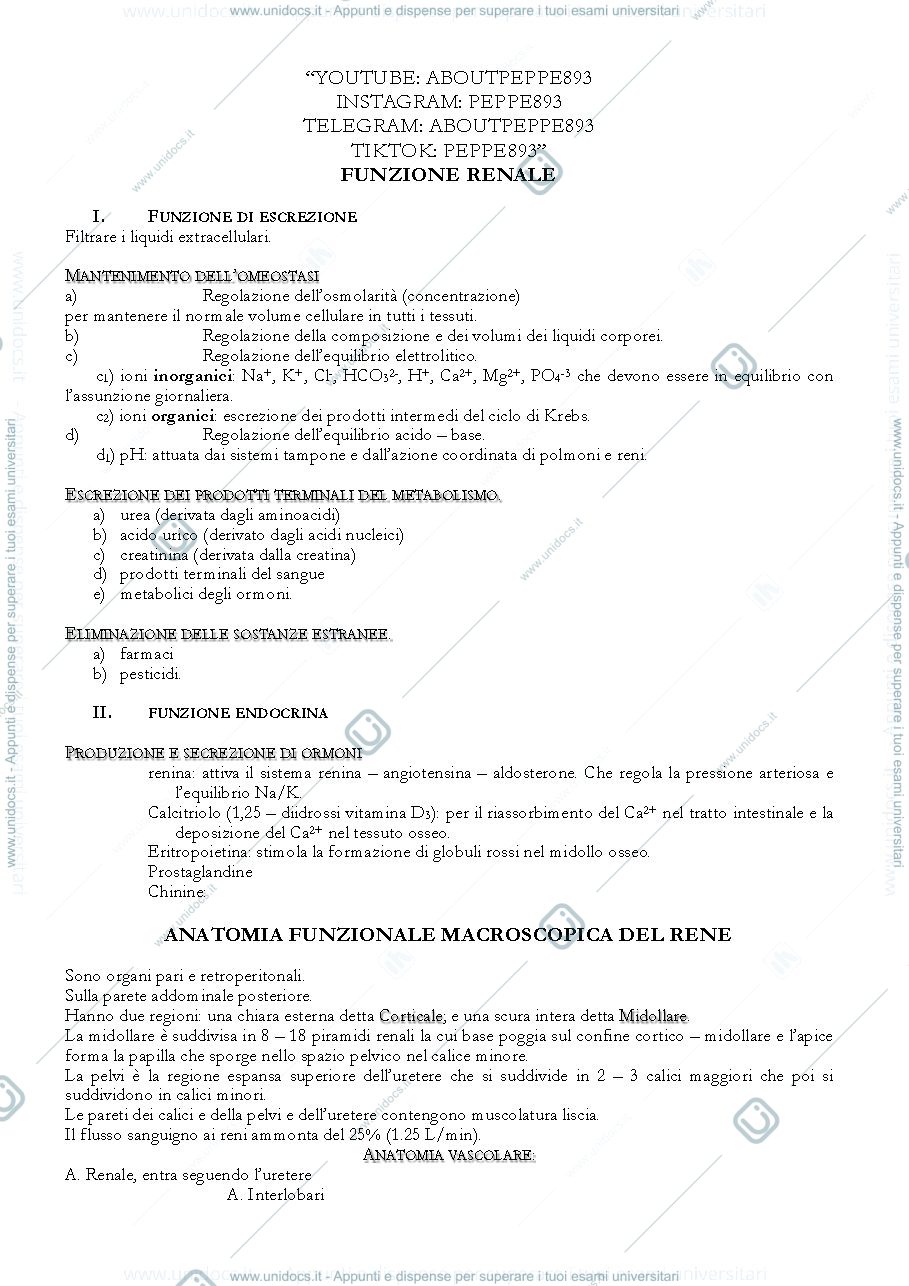 Anteprima pagina 1 — Funzione renale