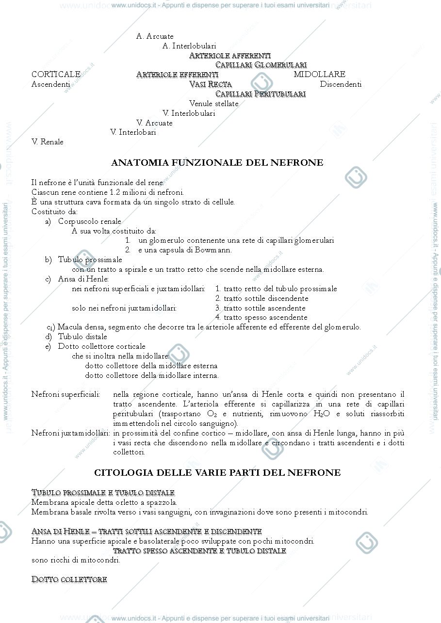 Anteprima pagina 2 — Funzione renale