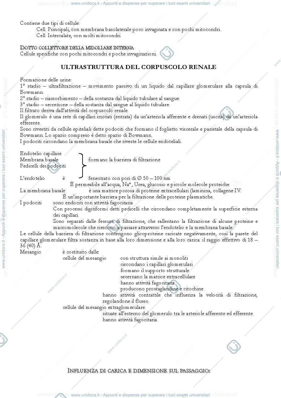 Anteprima pagina 3 — Funzione renale
