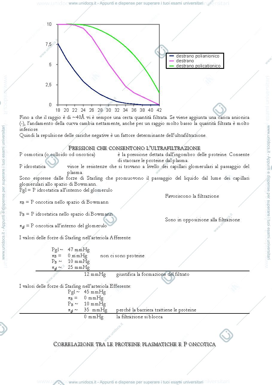 Anteprima pagina 4 — Funzione renale