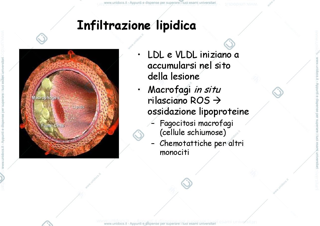 Anteprima pagina 5 — Patologia generale 2