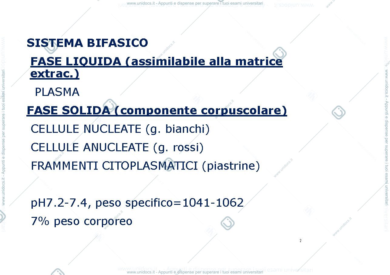 Anteprima pagina 2 — Sangue