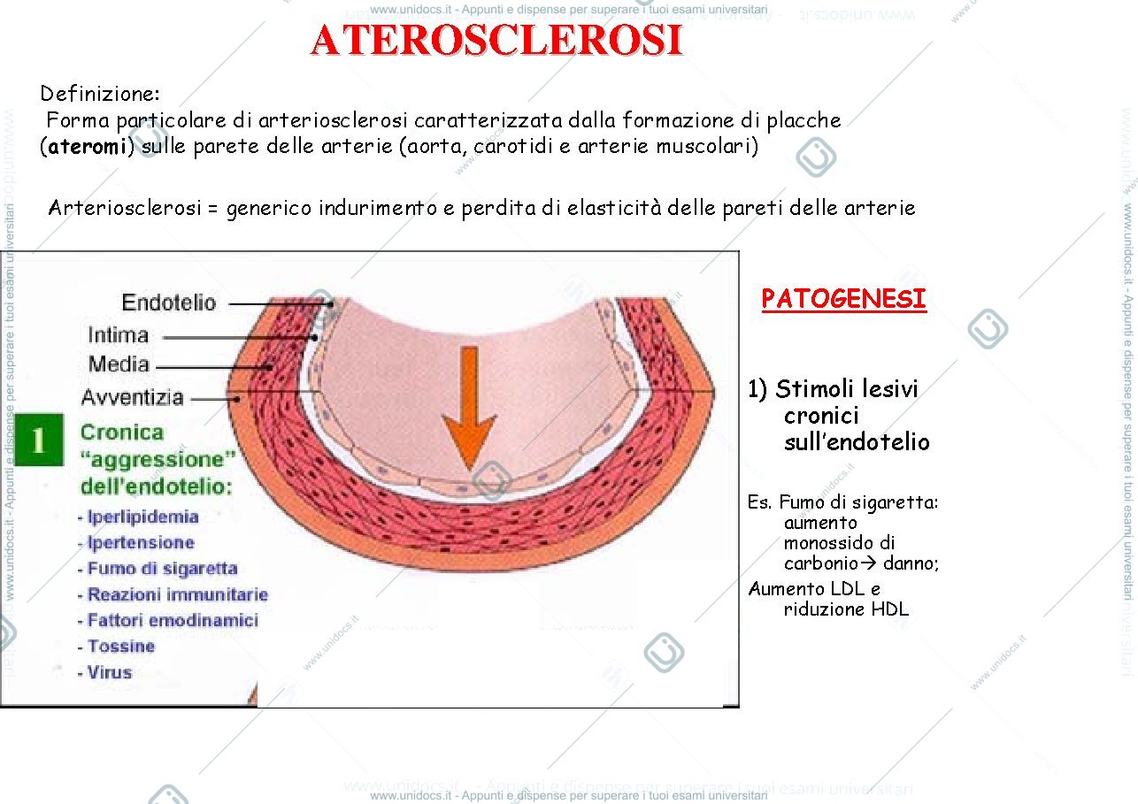 Anteprima pagina 3 — Patologia generale slide