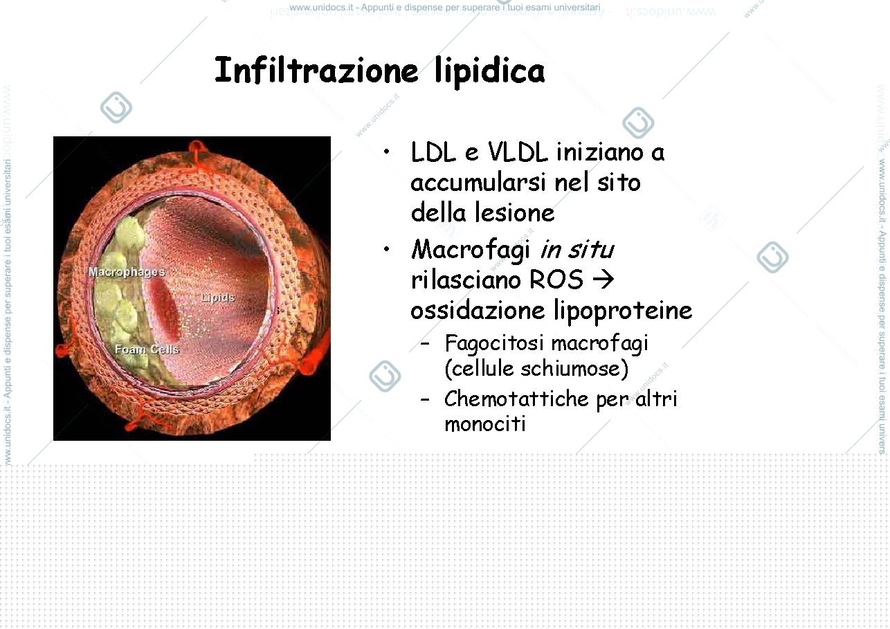 Anteprima pagina 5 — Patologia generale slide
