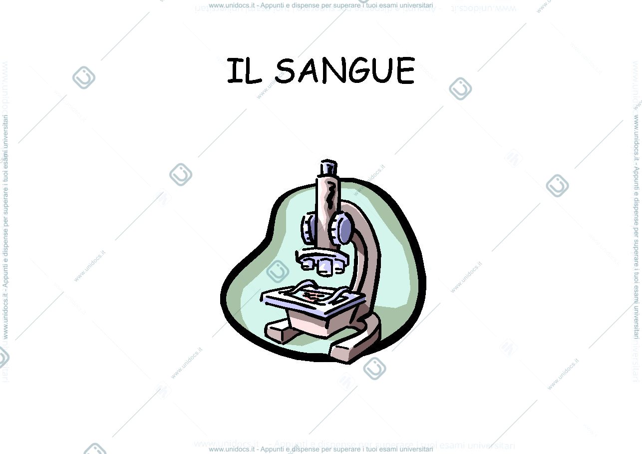 Anteprima pagina 1 — IL SANGUE