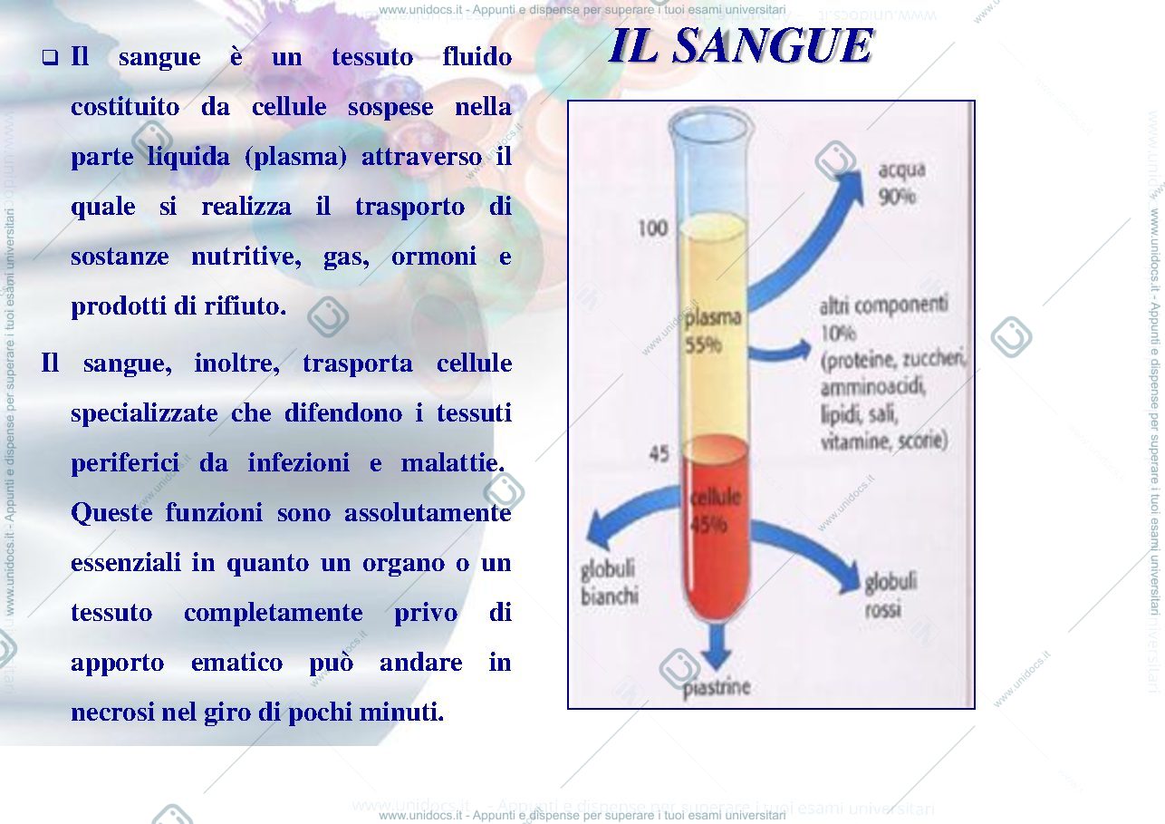 Anteprima pagina 2 — 3.Fisiopatologia-del-sangue