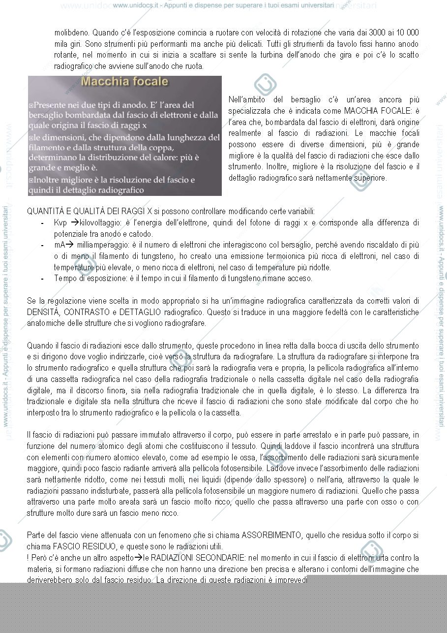 Anteprima pagina 5 — Radiologia 