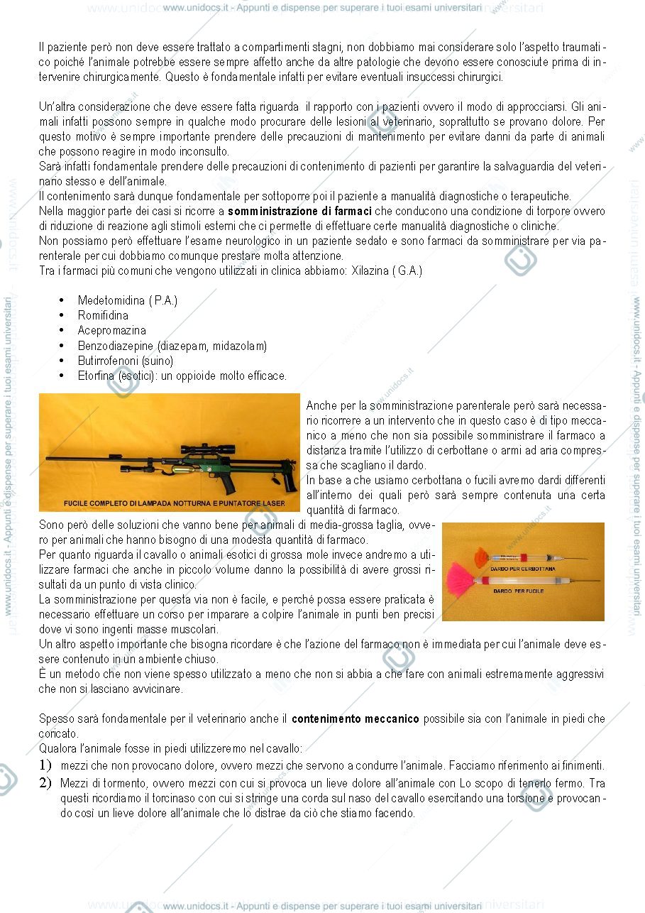 Anteprima pagina 2 — Semeiotica chirurgica